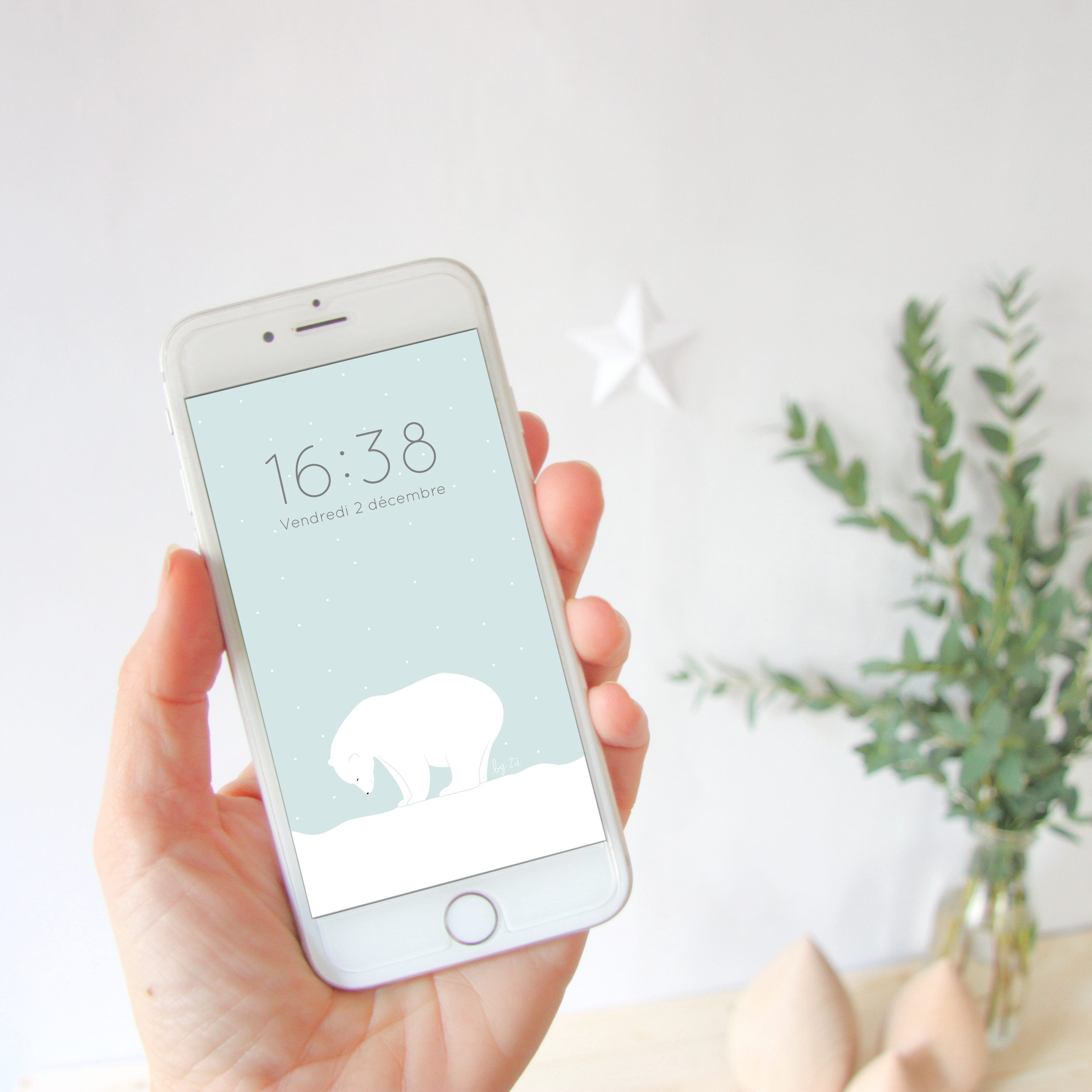 fond-smartphone-zu-janvier-port