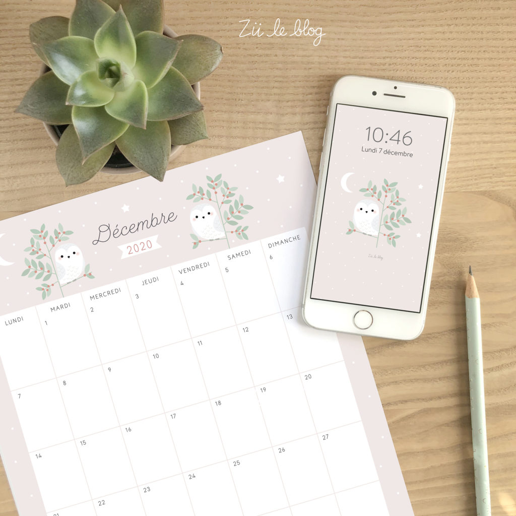 Le calendrier DIY Décembre 2020 Zü le Blog
